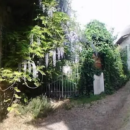 Ca Borgo Vecchio Brusasco